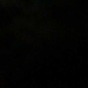 Meet your Posher, Phoebe